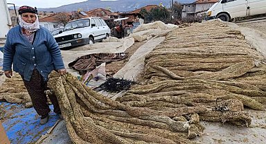 Selendi'de tütünde hasat bitti, kolileme mesaisi başladı