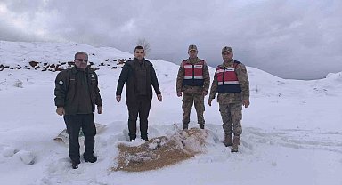 Siirt'te yaban hayvanlarına 750 kilo besi yemi bırakıldı