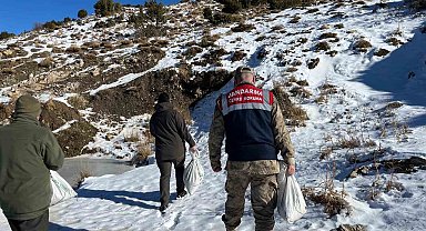 Siirt'te yaban hayvanlarına 750 kilo yem bırakıldı