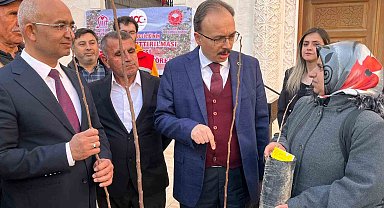 Siirtli çiftçilere 25 bin fıstık ve 4 bin 300 adet Trabzon Hurması fidanı dağıtıldı