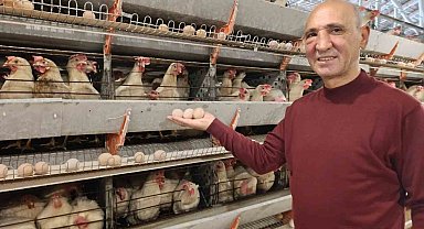 Simav'ın Kuşu beldesinde günlük 15 bin yumurta üretimi