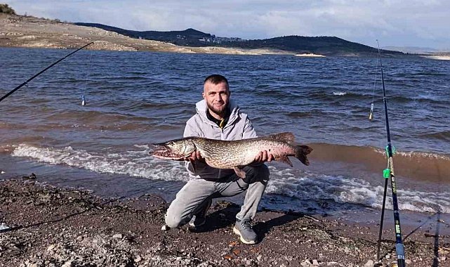 Sındırgı'da dev sazan balığı yakalandı