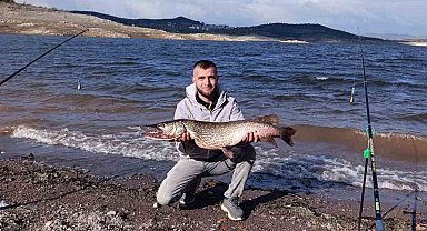 Sındırgı'da dev turna balığı yakalandı