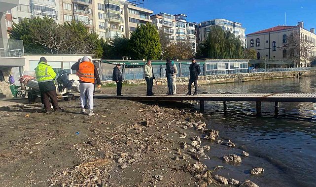 Sinop'ta deniz yüzeyindeki kirlilik vatandaşları endişelendirdi