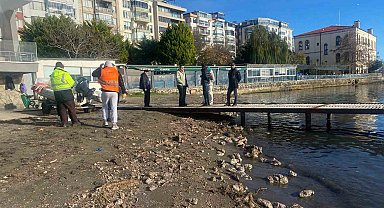 Sinop'ta deniz yüzeyindeki kirlilik vatandaşları endişelendirdi