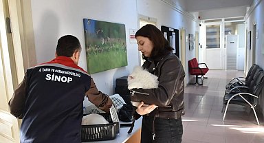 Sinop'ta hayvan kimliklendirme istatistikleri