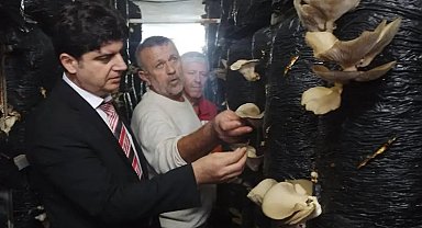 Sinop'ta mantar yetiştiriciliği eğitimi