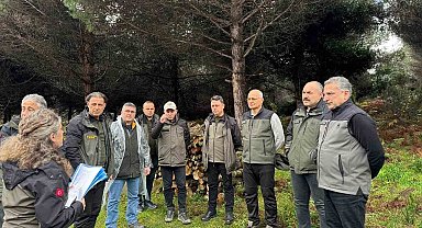 Sinop'ta ormancılık faaliyetleri