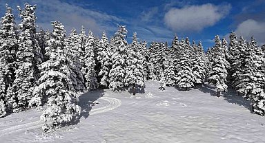 Sinop'tan kar manzaraları
