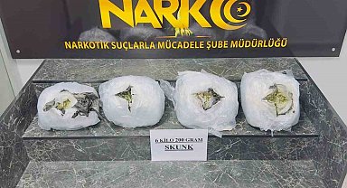 Şırnak'ta 6 kilo 200 gram skunk ele geçirildi