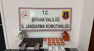 Şırnak'ta jandarmadan dev operasyon: 69 şüpheliye adli işlem yapıldı