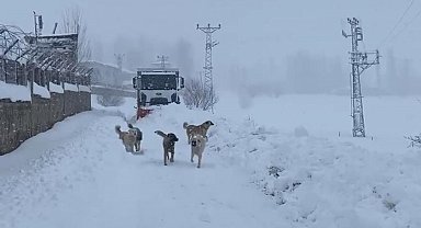 Şırnak'ta kapalı köy yolları dozerlerle açılıyor