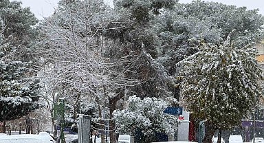 Siverek'te kar yağışı hayatı olumsuz etkiledi