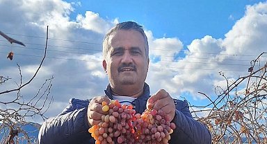 Soğuğa dayanıklı kazancı yüksek