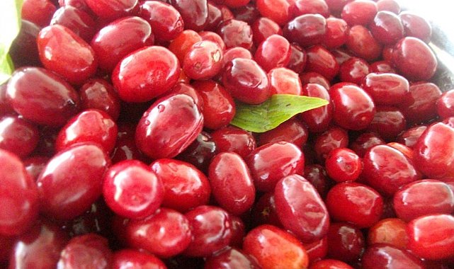 Soğuk algınlığına doğal çözüm: Kızılcık