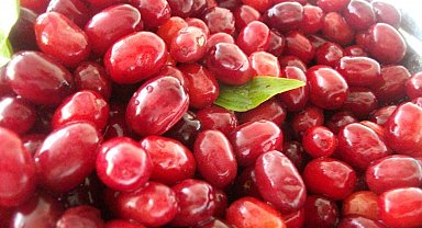 Soğuk algınlığına doğal çözüm: Kızılcık