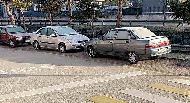 Soğuk hava sebebiyle çimler ve otomobil camları buz tuttu