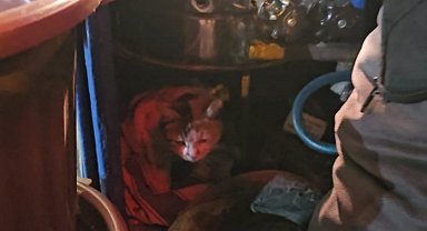 Sokak kedisine üşümesin diye kestane kazanının yanında bakıyor