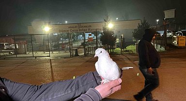 Tahliyeleri beyaz güvercinle karşıladılar