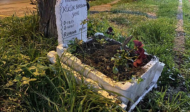 Taksicilerden vefa...Ölen muhabbet kuşları için mini mezar yaptılar