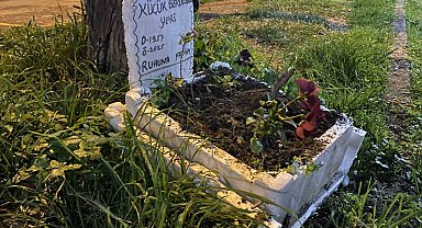 Taksicilerden vefa...Ölen muhabbet kuşları için mini mezar yaptılar