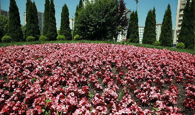 Talas 2026'da rengarenk olacak