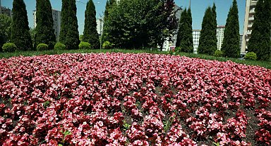 Talas 2026'da rengarenk olacak