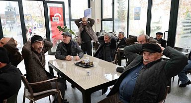 Talas'ın çınarları hayata hareket ediyor