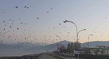 Tatvan sahilinde gökyüzünde sıra dışı manzara