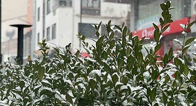 Tatvan'da kar yağışı