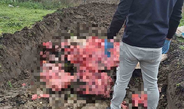 Tekirdağ'da 1 ton menşei belirsiz hayvansal ürün imha edildi