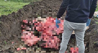 Tekirdağ'da 1 ton menşei belirsiz hayvansal ürün imha edildi