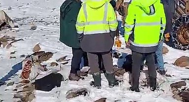 Tekman'da ESKİ ekiplerinin zorlu mesaisi