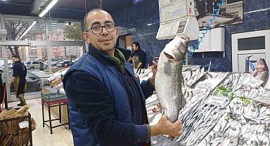 Tezgahlarda palamut yok, hamsi çok