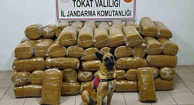 Tokat'ta 485 kilogram kaçak tütün ele geçirildi
