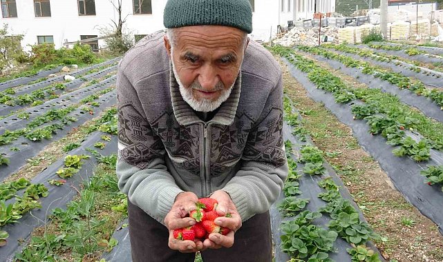 Türkiye onu yoldan geçenlere bahçesinden ikram ettiği meyvelerle tanıdı, bugün acı haber geldi