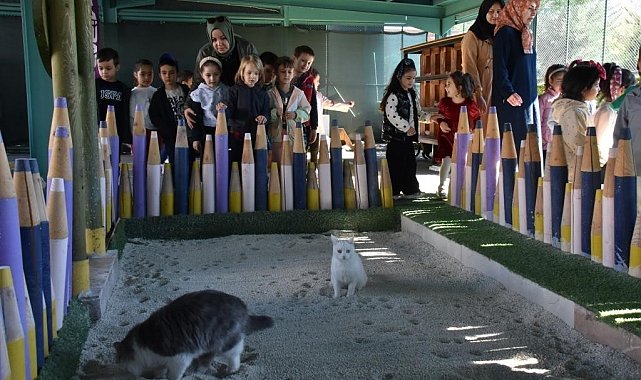 Türkiye'de ilk olan 'Küçük Dostlar Ambulansı' ile 10 bin 280 can kurtarıldı
