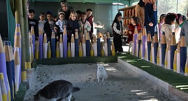 Türkiye'de ilk olan 'Küçük Dostlar Ambulansı' ile 10 bin 280 can kurtarıldı