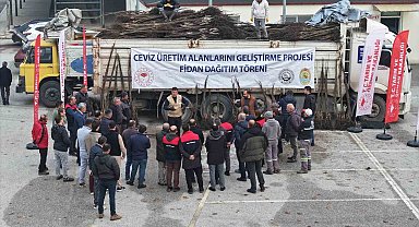 Türkiye'nin ceviz başkenti Denizli'de ceviz fidanı dağıtımı başladı