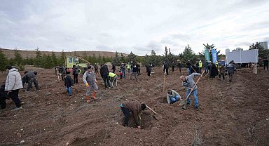 TUSAŞ şehitleri anısına binlerce fidan toprakla buluştu