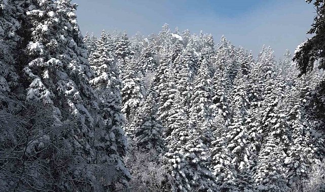 Uludağ'da göz gözü görmüyor