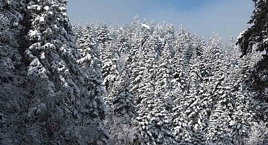 Uludağ'da göz gözü görmüyor