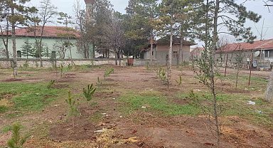 Umraniye köylüleri 300 adet fidanı okul ve camii bahçesine diktiler