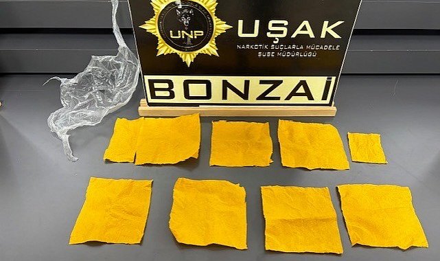 Uşak'ta çok sayıda uyuşturucu madde ele geçirildi