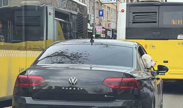 Üsküdar'da yeni başkan eski başkanın makam aracını köpeğine tahsis etti iddiası