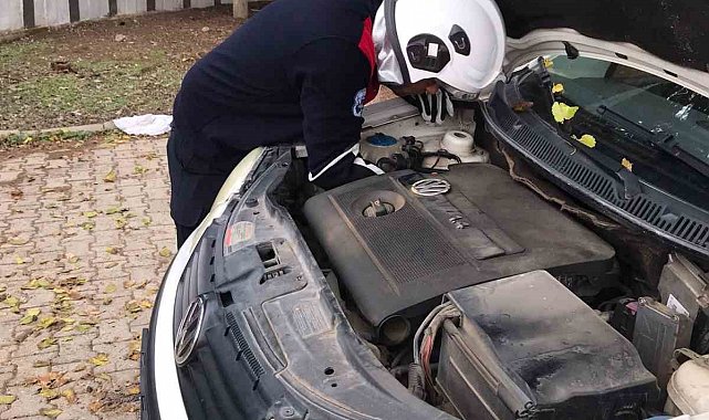 Üşüyen kedi, otomobilin motoruna girdi