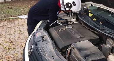 Üşüyen kedi, otomobilin motoruna girdi