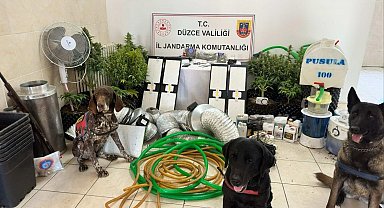 Uyuşturucu ticareti yapan 1 kişi gözaltına alındı