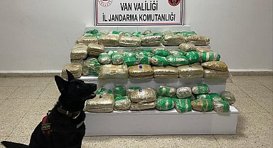 Van'da 51 kilo skunk ele geçirildi