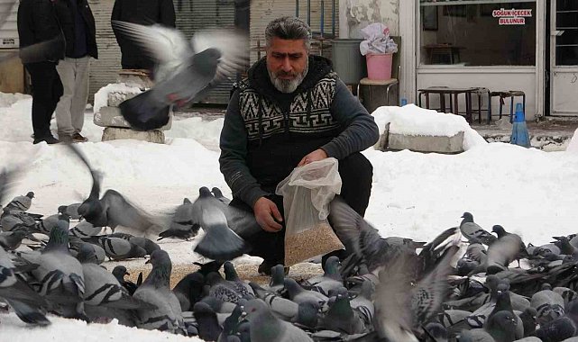 Van'da kar sonrası güvercinlerden görsel şölen